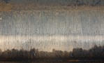 Текстура 164
