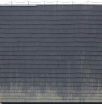 Текстура 119