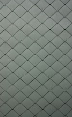 Текстура 172