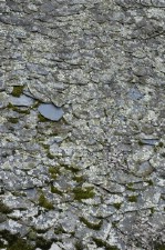 Текстура 123