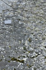 Текстура 124