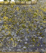 Текстура 176