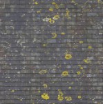 Текстура 180