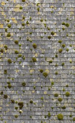 Текстура 194