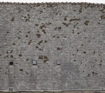 Текстура 229