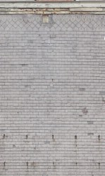 Текстура 238