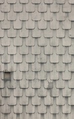 Текстура 255