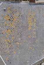 Текстура 261