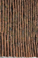 Текстура 224