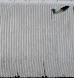 Текстура 130