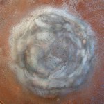 Текстура 196