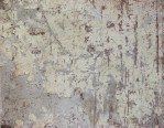 Текстура 272