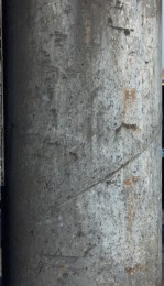 Текстура 339