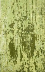 Текстура 113