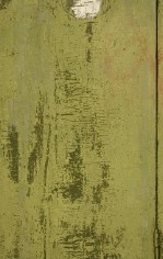 Текстура 116