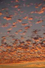 Текстура 120