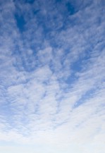 Текстура 148