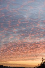 Текстура 150