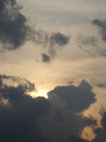 Текстура 156