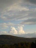 Текстура 157