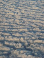 Текстура 164