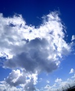 Текстура 171