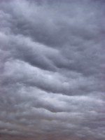 Текстура 208