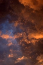 Текстура 209