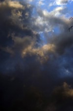 Текстура 213