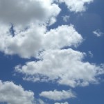 Текстура 219