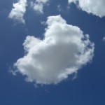 Текстура 221