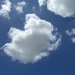 Текстура 223