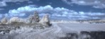 Текстура 19